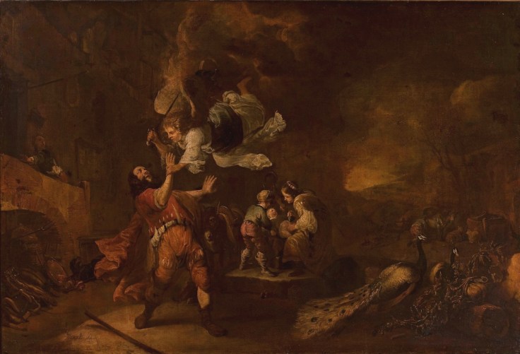 Cippora_a_pihenohelyen