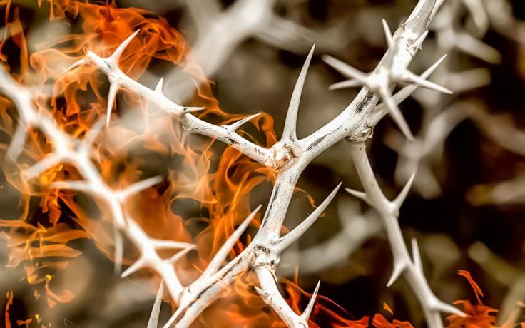 hívás_elhívás_hivatás